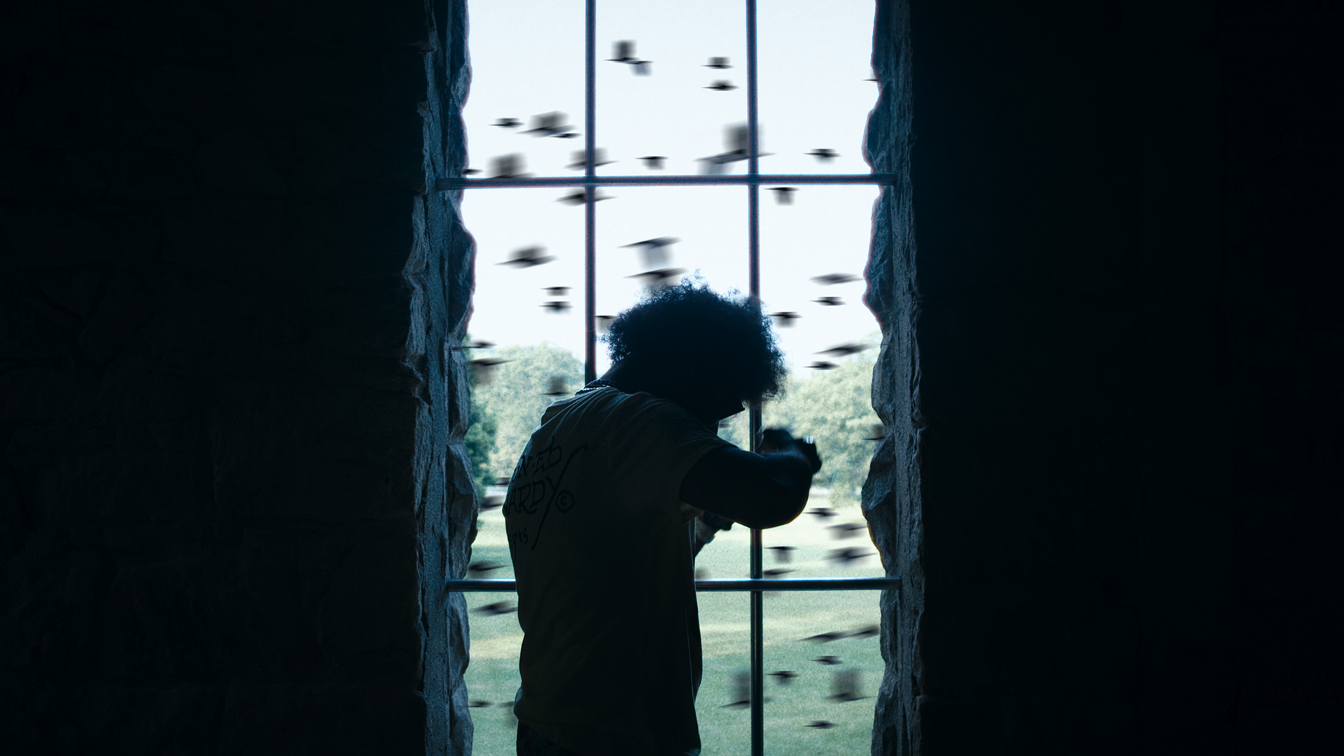 Top Slayer - IFL Dave