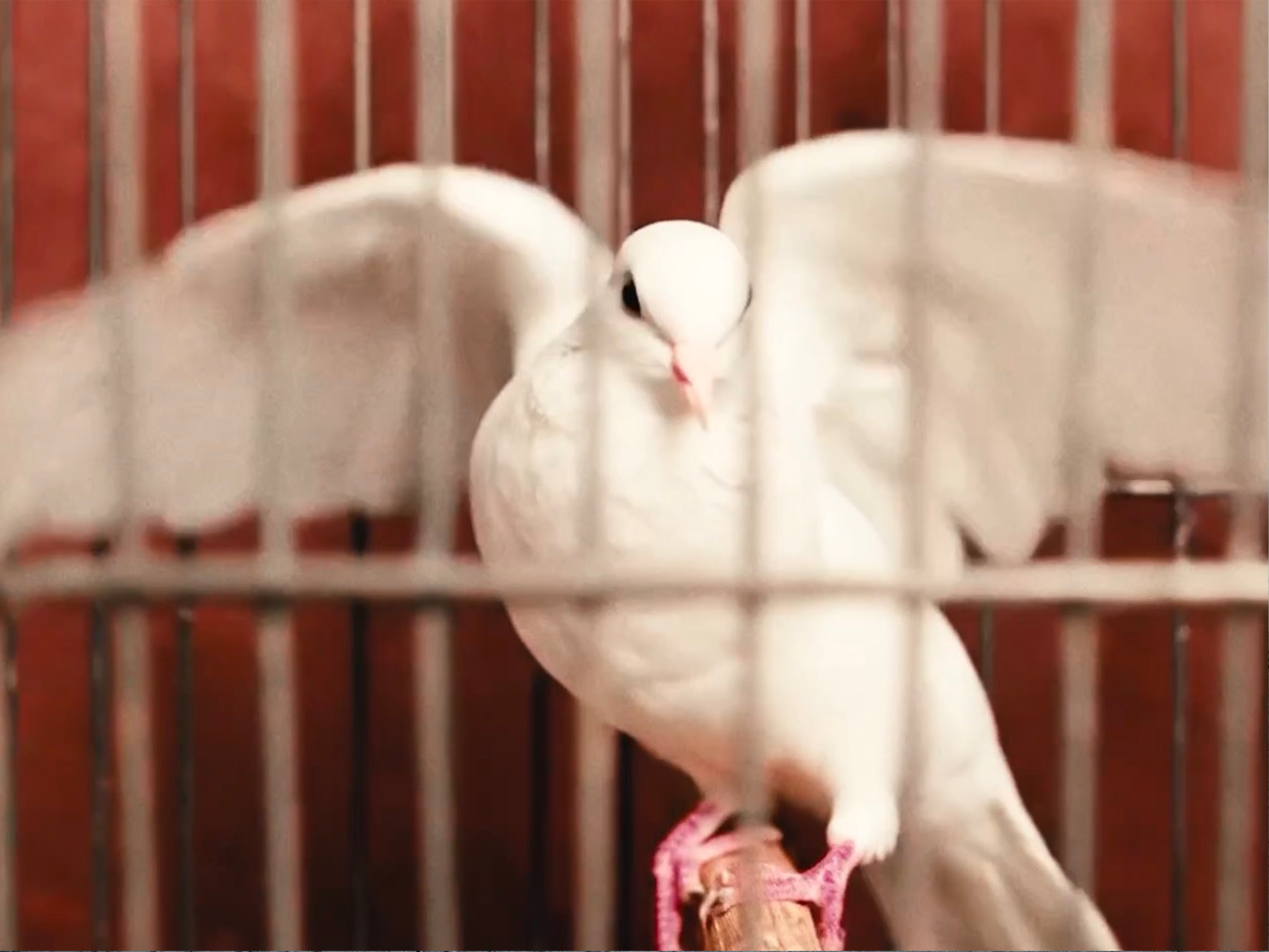 Right Here - CarterClouud